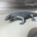 Komodo Dragon 3D Print (#1)