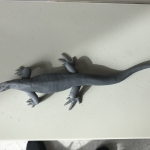 Komodo Dragon 3D Print (#2)