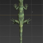 Lizard Screenshot 2