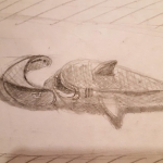 Shark Toy Sketch