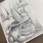 Extended sketch of the Frog