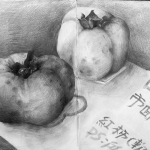 persimmon sketch