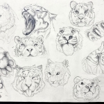 tiger quick studies