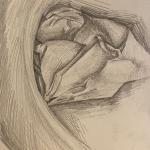 Observational Drawing 2