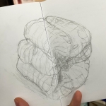 Pepper Sketch