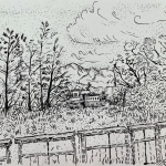 Moving Grove: a Van Gogh inspired bamboo ink drawing