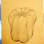 Bell Pepper Countour Drawing